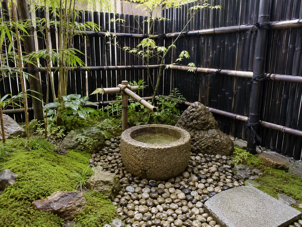 Courtyard with a water basin and a black-bamboo fence